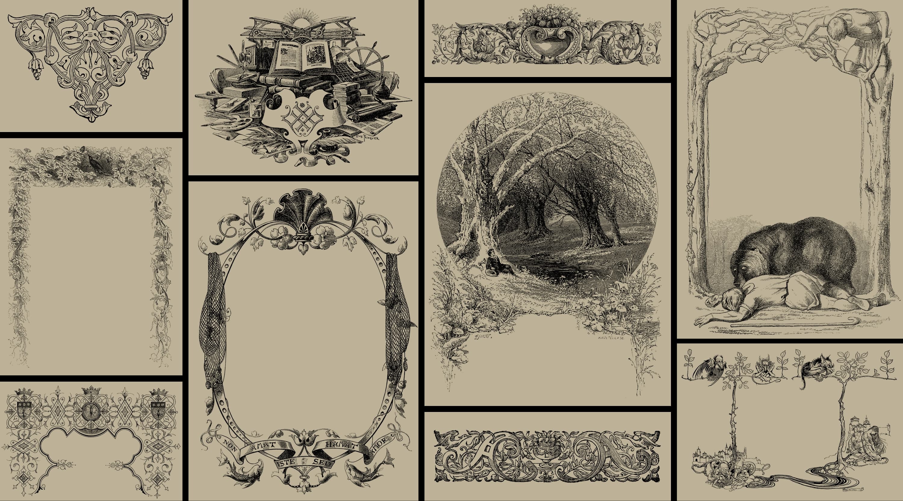 Illustrations used in the product